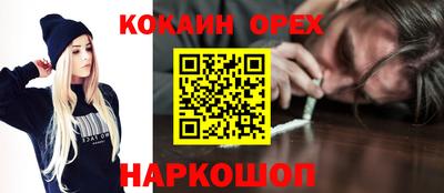 прущие крисы Будённовск