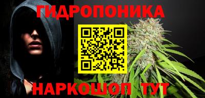 прущие крисы Будённовск