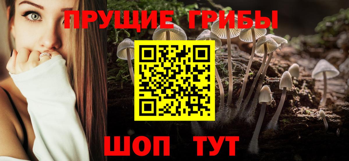 Псилоцибиновые грибы прущие грибы Старый Оскол